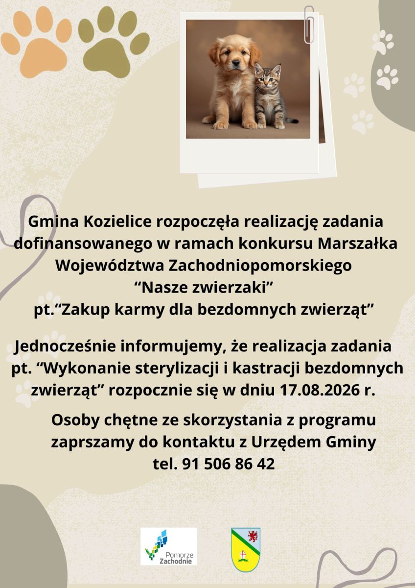 Zdjęcie: 